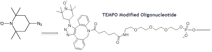 Bio-Synthesis Inc. Oligo Structure